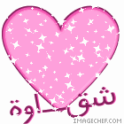 ساره سالم