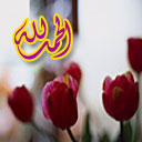 noor_888