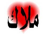 محمد عبده حسن