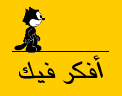 ashraf hasaneen
