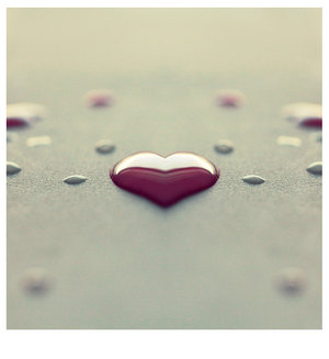 noor_888