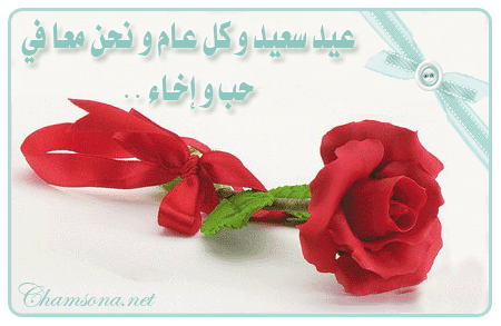 بطاقات أعياد الميلاد بطاقات أعياد الميلاد10 Size:64.10 Kb Dim: 450 x 293 Size: Kb Dim: x