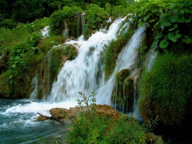 حدائق -مناظر طبيعية -صور حدائق