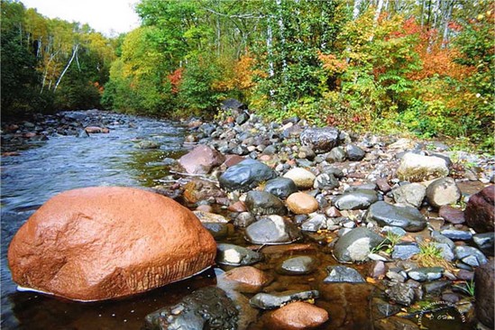 نقره لتكبير أو تصغير الصورة ونقرتين لعرض الصورة في صفحة مستقلة بحجمها الطبيعي