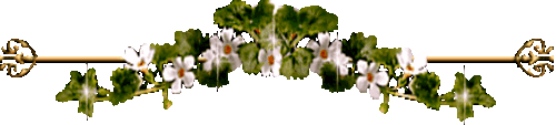 3300_76244_1264836414.gif