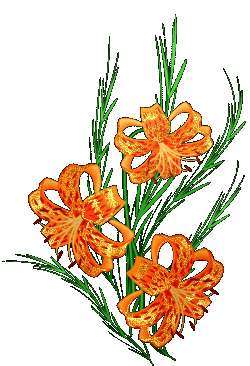 صور الفواصل والزينة صور الفواصل والزينة3 Size:89.30 Kb Dim: 250 x 366 Size: Kb Dim: x