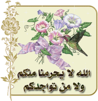 صور الفواصل والزينة صور الفواصل والزينة2 Size:59.60 Kb Dim: 317 x 329 Size: Kb Dim: x