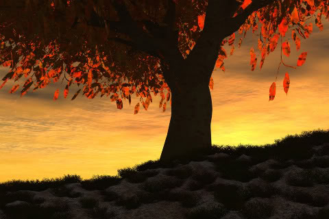 خلفيات ورمزيات بلاك بيري ، واتس اب blackberry & whatsapp avatar background خلفيات واتس اب Size:35.40 Kb Dim: 480 x 320 Size: Kb Dim: x