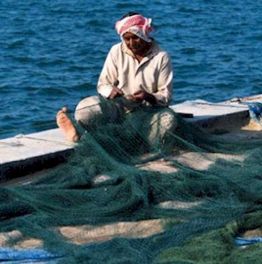 إمارة القيوين تحفه الجمال 4_188234_1253381440.jpg