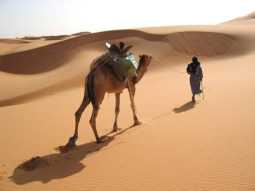 صور متنوعة صور متنوعة8 Size:19.00 Kb Dim: 500 x 375 Size: Kb Dim: x