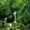 صور متنوعة صور متنوعة1 Size:48.00 Kb Dim: 120 x 120 Size: Kb Dim: x
