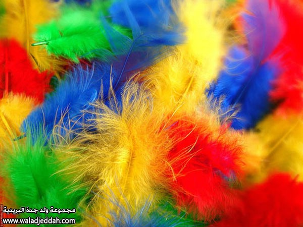 صور متنوعة صور متنوعة7 Size:74.40 Kb Dim: 600 x 450 Size: Kb Dim: x