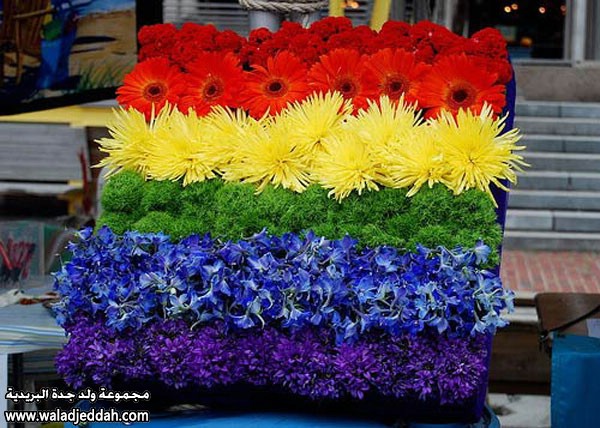صور متنوعة صور متنوعة12 Size:100.00 Kb Dim: 600 x 428 Size: Kb Dim: x