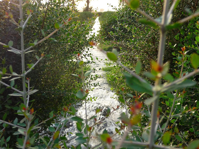 صور متنوعة صور متنوعة5 Size:171.30 Kb Dim: 640 x 480 Size: Kb Dim: x