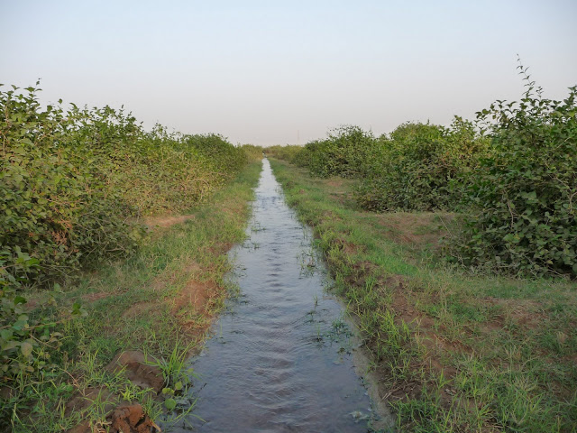 صور متنوعة صور متنوعة8 Size:129.00 Kb Dim: 640 x 480 Size: Kb Dim: x