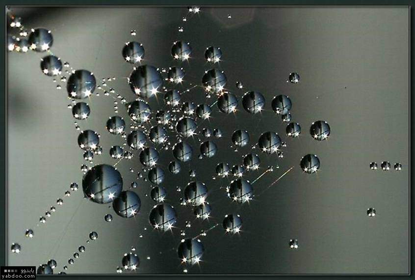 صور متنوعة صور متنوعة7 Size:51.50 Kb Dim: 846 x 570 Size: Kb Dim: x