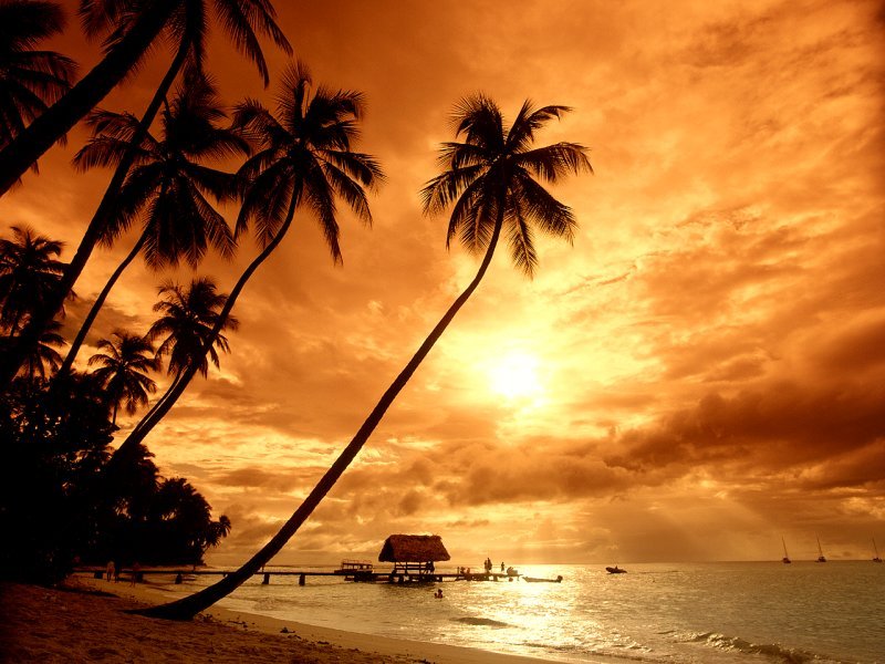 صور متنوعة مناظر طبيعية7 Size:103.00 Kb Dim: 800 x 600 Size: Kb Dim: x