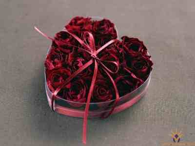 صور متنوعة صور متنوعة3 Size:6.90 Kb Dim: 400 x 300 Size: Kb Dim: x
