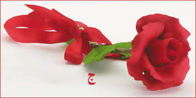 صور متنوعة صور متنوعة13 Size:49.70 Kb Dim: 399 x 201 Size: Kb Dim: x