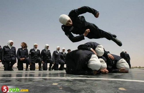 صور متنوعة اجمل الصور لعام 200814 Size:42.00 Kb Dim: 500 x 324 Size: Kb Dim: x