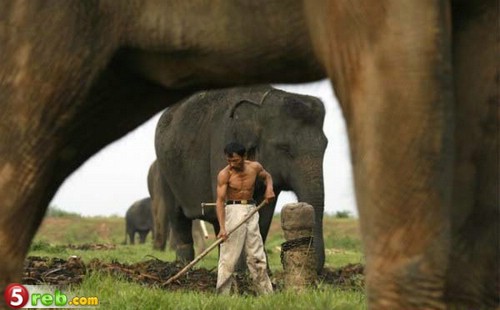 صور متنوعة اجمل الصور لعام 2008 13 Size:36.30 Kb Dim: 500 x 310 Size: Kb Dim: x