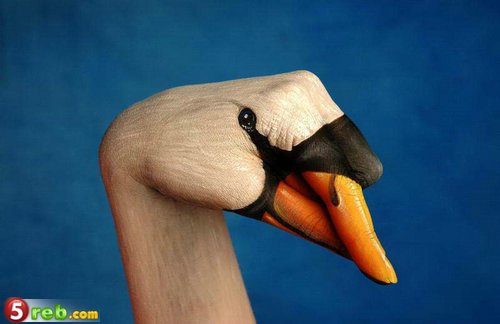 صور متنوعة صور عجيبه بس مميزه 2 Size:23.20 Kb Dim: 500 x 324 Size: Kb Dim: x