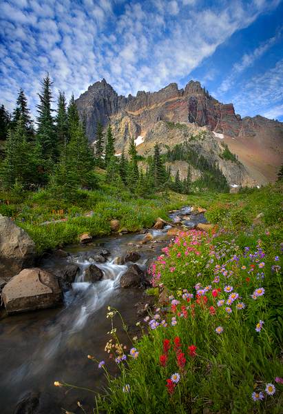 صور متنوعة المصور Jay Patel1 Size:386.30 Kb Dim: 411 x 600 Size: Kb Dim: x