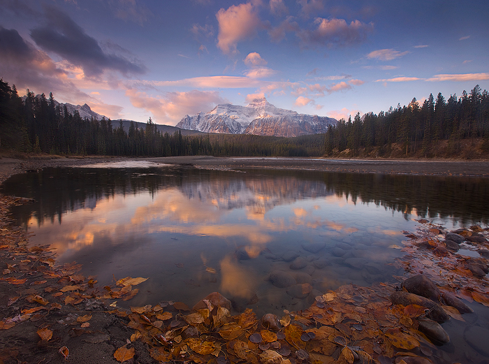صور متنوعة المصور Jay Patel10 Size:395.20 Kb Dim: 700 x 521 Size: Kb Dim: x