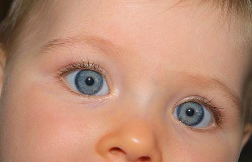 صور متنوعة صور عيون اطفال روعة 5 Size:17.90 Kb Dim: 499 x 322 Size: Kb Dim: x