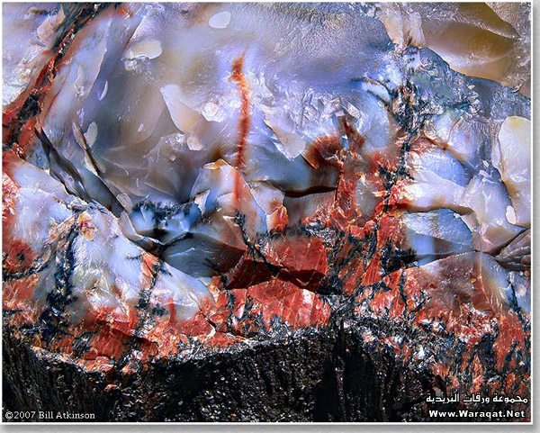 صور متنوعة لوحات تشكيلية رائعة من الصخور6 Size:191.50 Kb Dim: 600 x 481 Size: Kb Dim: x