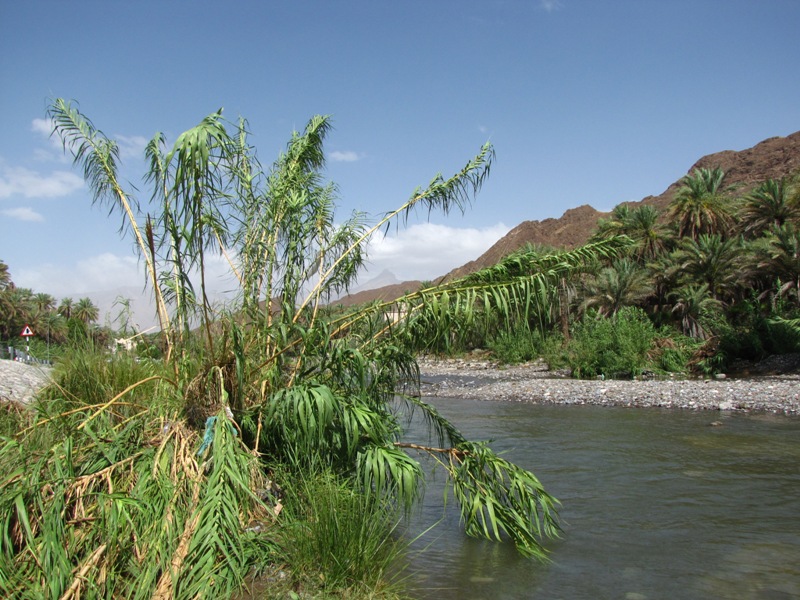 صور متنوعة 20 صورة تحكي روعة وجمال وادي 6 Size:198.50 Kb Dim: 800 x 600 Size: Kb Dim: x