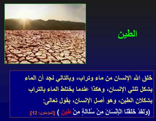 صور متنوعة (فلينظر الانسان مم خلق), فسبح2 Size:51.60 Kb Dim: 510 x 397 Size: Kb Dim: x