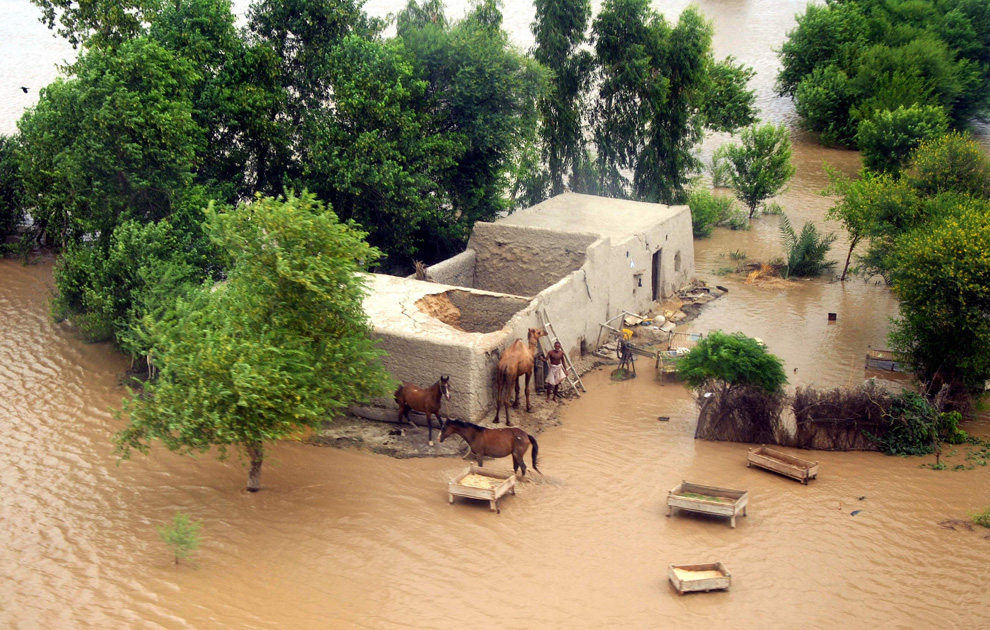صور متنوعة صور مروعة , محزنة , من فيضانا7 Size:352.30 Kb Dim: 990 x 630 Size: Kb Dim: x