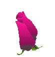 41_76244_1261476152.gif