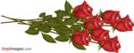 s41_177613_1237738418.gif