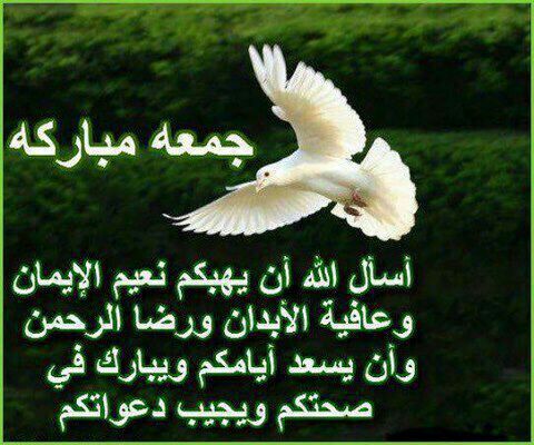 بطاقات يوم الجمعة بطاقات يوم الجمعة Size:48.40 Kb Dim: 480 x 400 Size: Kb Dim: x