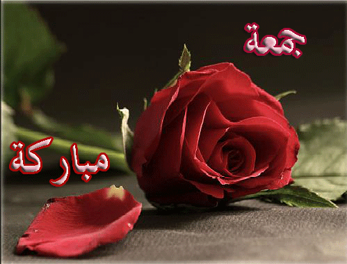 بطاقات يوم الجمعة بطاقات يوم الجمعة Size:117.10 Kb Dim: 499 x 379 Size: Kb Dim: x
