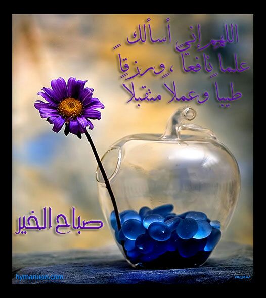 بطاقات الصباح بطاقة الصباح Size:46.80 Kb Dim: 526 x 590 Size: Kb Dim: x