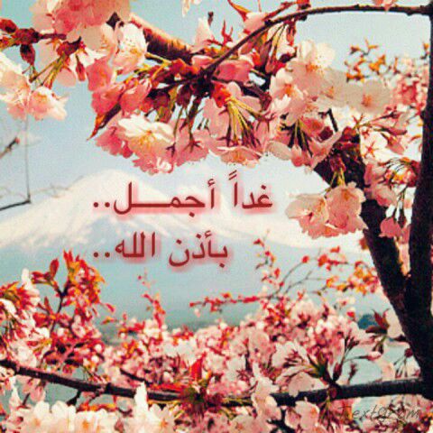 بطاقات الصباح بطاقة الصباح Size:65.30 Kb Dim: 480 x 480 Size: Kb Dim: x