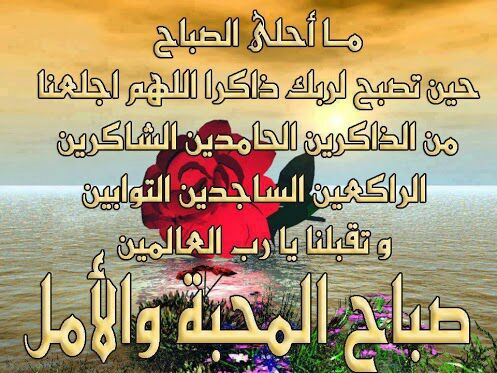 بطاقات الصباح بطاقة الصباح Size:60.10 Kb Dim: 497 x 373 Size: Kb Dim: x