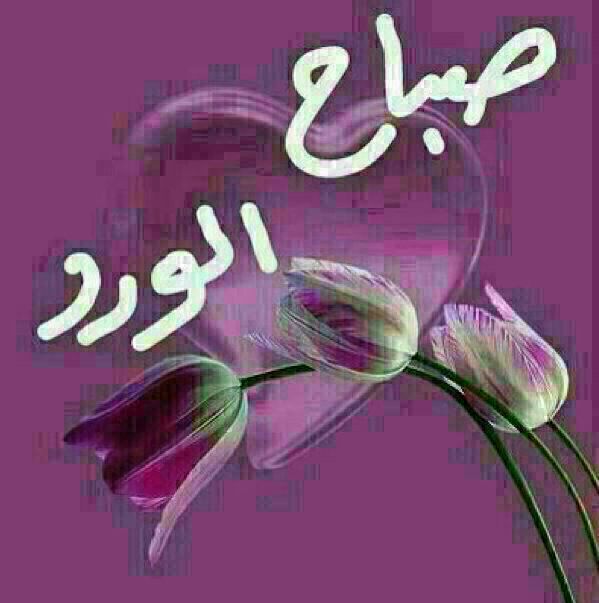 بطاقات الصباح بطاقة الصباح Size:39.70 Kb Dim: 599 x 603 Size: Kb Dim: x