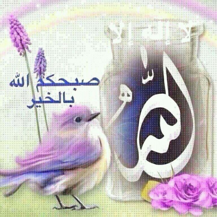 بطاقات الصباح بطاقة الصباح Size:138.20 Kb Dim: 720 x 720 Size: Kb Dim: x
