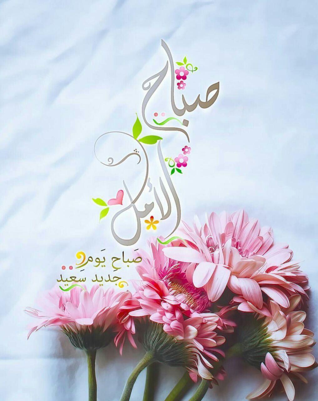 بطاقات الصباح بطاقات الصباح Size:127.18 Kb Dim: 1016 x 1280 Size: Kb Dim: x