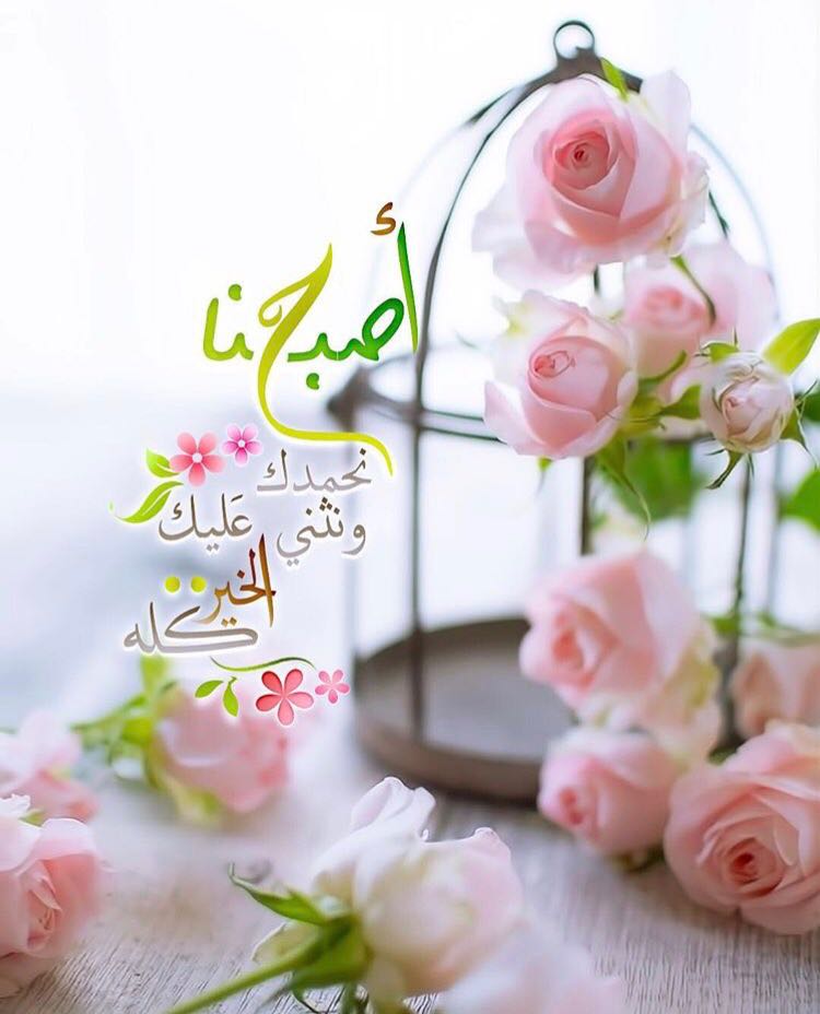 بطاقات الصباح بطاقات الصباح Size:62.83 Kb Dim: 750 x 928 Size: Kb Dim: x