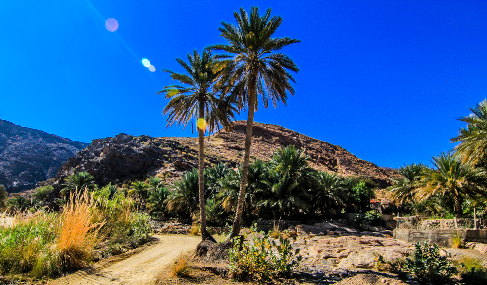 ولاية قريات وادي العربيين Size:439.95 Kb Dim: 1000 x 586 Size: Kb Dim: x