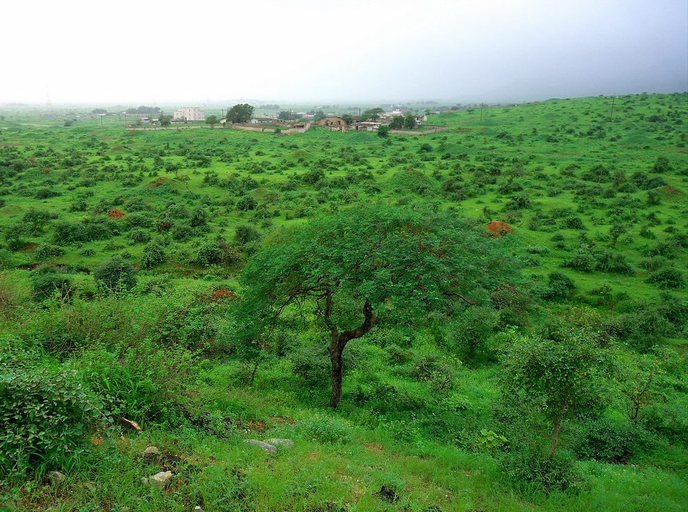 ولاية صلالة سهل إتين Size:409.70 Kb Dim: 1001 x 745 Size: Kb Dim: x