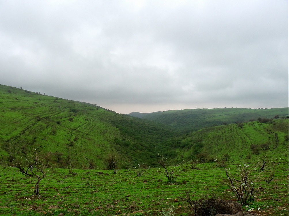 ولاية صلالة نيابة شير Size:263.40 Kb Dim: 1003 x 749 Size: Kb Dim: x