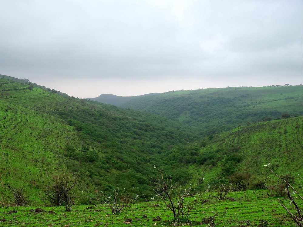 ولاية صلالة نيابة شير Size:292.70 Kb Dim: 999 x 751 Size: Kb Dim: x