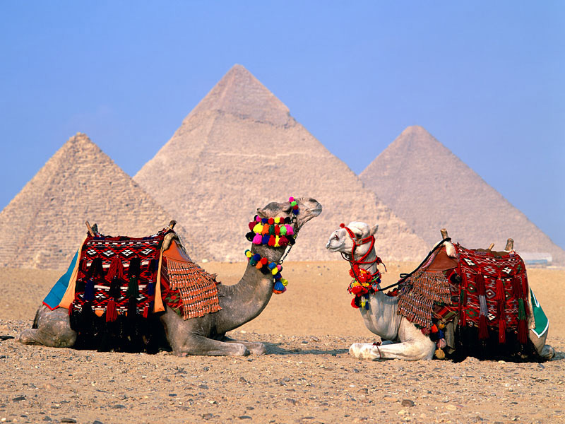 http://www.ask-aladdin.com/Egypt-Travel-Tips/egypt_culture.html