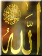 noor_888